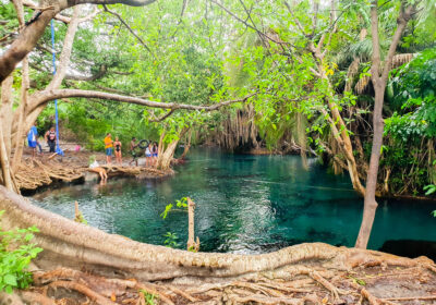 Chemka Hot Springs Tour (Kikuletwa)