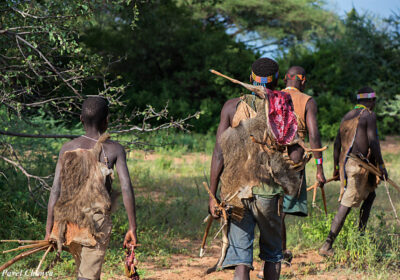 Hadzabe and Datoga Tribe Cultural Tour