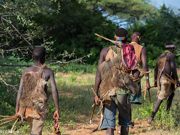 Hadzabe and Datoga Tribe Cultural Tour