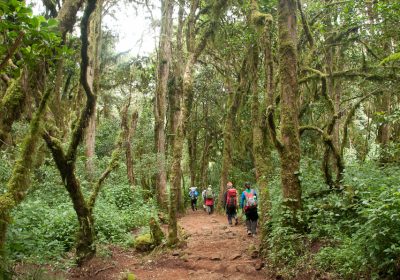 5 Days Trekking Marangu Route