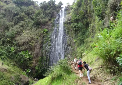 Materuni Waterfall & Coffee Tour