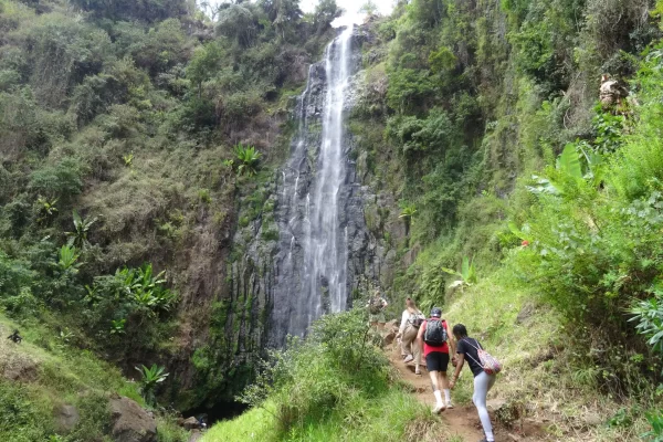 Materuni Waterfall & Coffee Tour