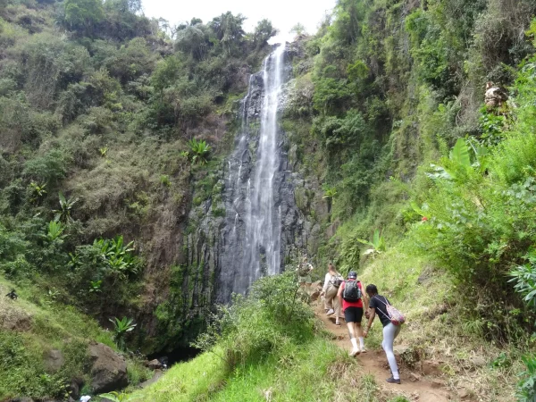 Materuni Waterfall & Coffee Tour