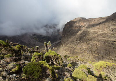 6 Days Trekking Rongai Route