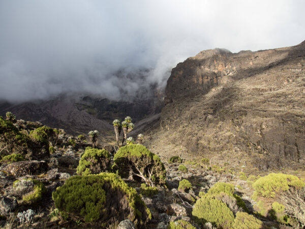 6 Days Trekking Rongai Route