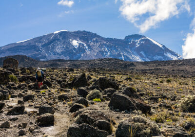 7 Days Trekking Lemosho Route