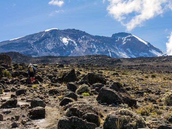 7 Days Trekking Lemosho Route