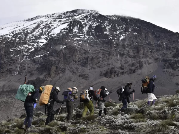 6 Days Trekking Umbwe Route