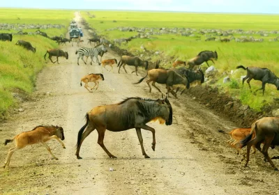 Serengeti National Park