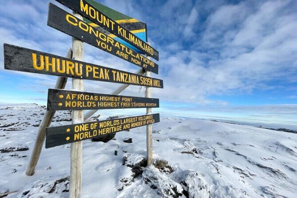 8 Days Trekking Lemosho Route