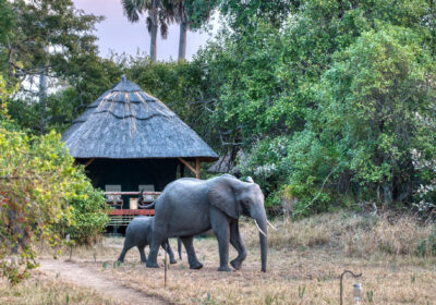 Katavi National Park