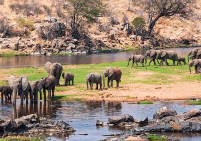 Ruaha National Park