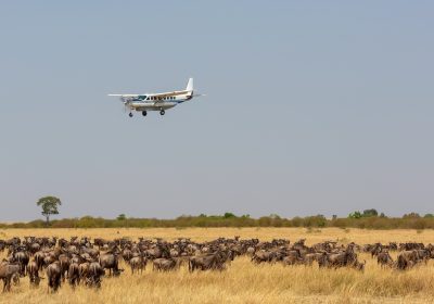4-Day Fly in Zanzibar to Northern Circuit Safari