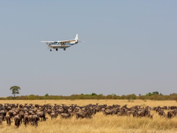 4-Day Fly in Zanzibar to Northern Circuit Safari