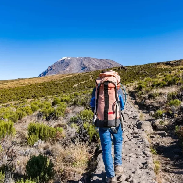 Kilimanjaro Trekking 2026