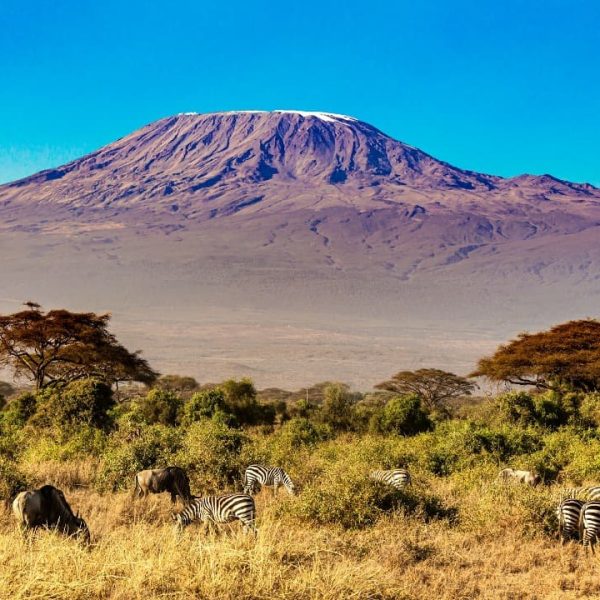 kilimanjaro trekking